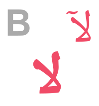 b